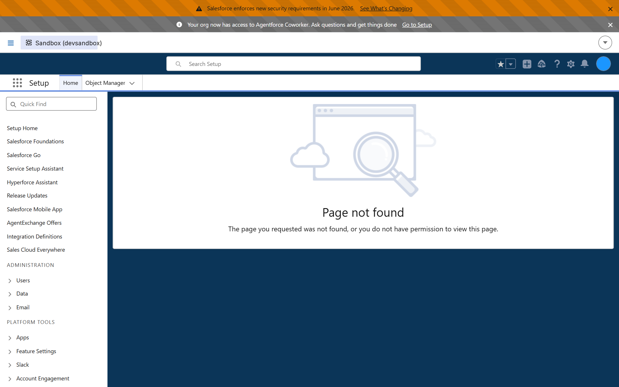 Salesforce Setup App Manager